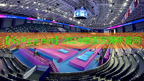 ⚽️2024欧洲杯：篮球传球准确性辅助器材