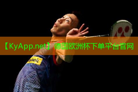 2024欧洲杯：河北球场硅pu施工