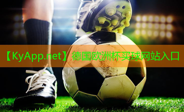 德国欧洲杯集团：武陵乒乓球台