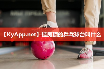 挂房顶的乒乓球台叫什么