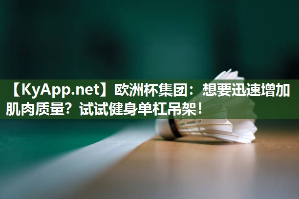欧洲杯集团：想要迅速增加肌肉质量？试试健身单杠吊架！
