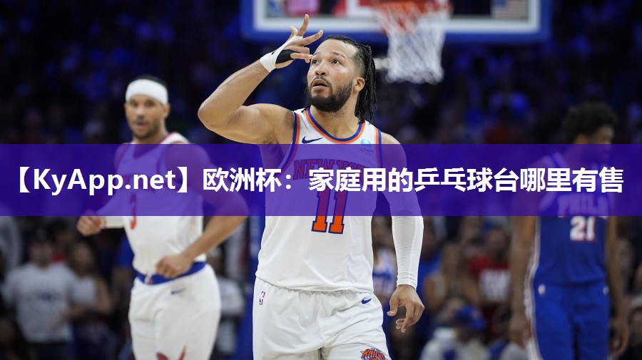 欧洲杯：家庭用的乒乓球台哪里有售