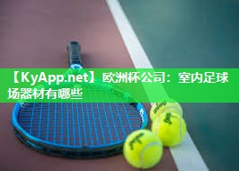 欧洲杯公司：室内足球场器材有哪些