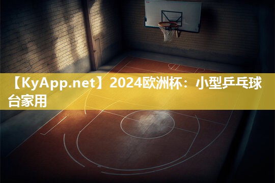 2024欧洲杯：小型乒乓球台家用