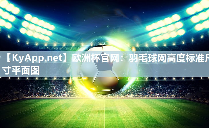 欧洲杯官网：羽毛球网高度标准尺寸平面图