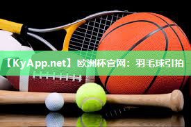 欧洲杯官网：羽毛球引拍