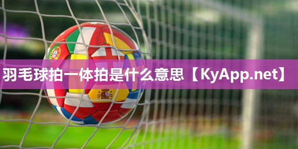 羽毛球拍一体拍是什么意思