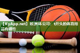 欧洲杯公司：t开头的体育用品有哪些
