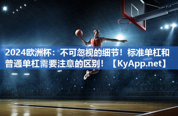 2024欧洲杯：不可忽视的细节！标准单杠和普通单杠需要注意的区别！