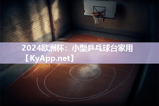 小型乒乓球台家用