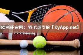 羽毛球引拍
