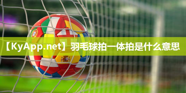 羽毛球拍一体拍是什么意思