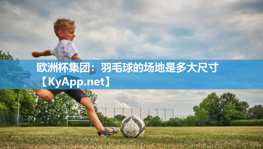 羽毛球的场地是多大尺寸