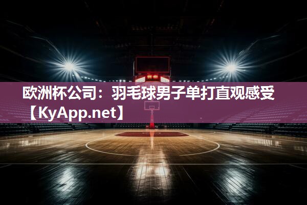 羽毛球男子单打直观感受