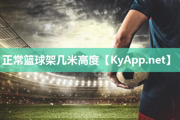 正常篮球架几米高度