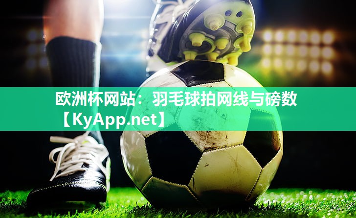 羽毛球拍网线与磅数